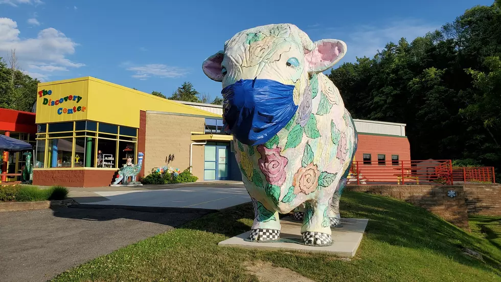 What’s New With Ross Park Zoo and The Discovery Center