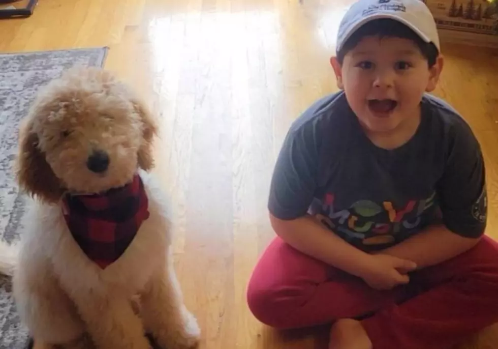 Seven-Year-Old Wishes for Donations to St. Jude To Celebrate His Birthday