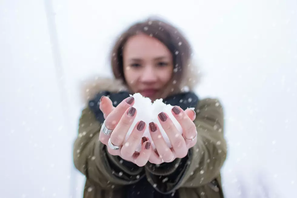 What Are Snow Fleas and Are They Dangerous?