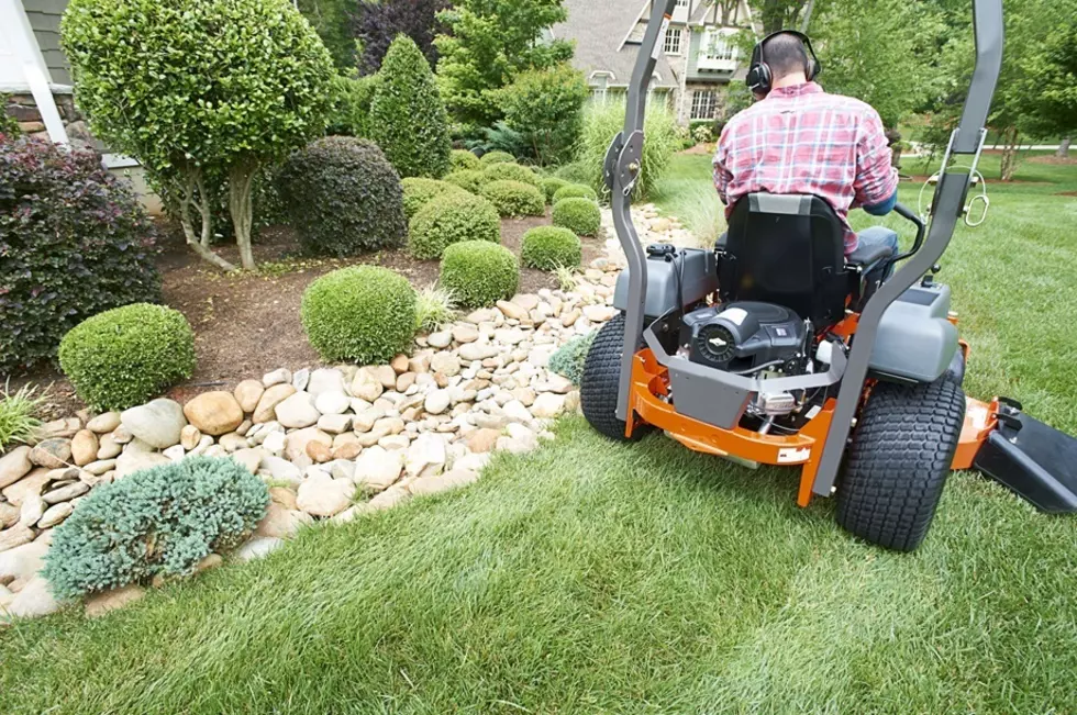 Embrace Backyarding: Prep Your Lawn Equipment For Outdoor Fun