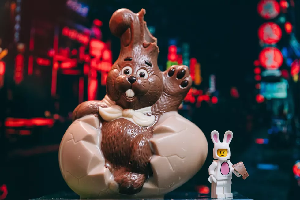 How You Should Eat A Chocolate Easter Bunny