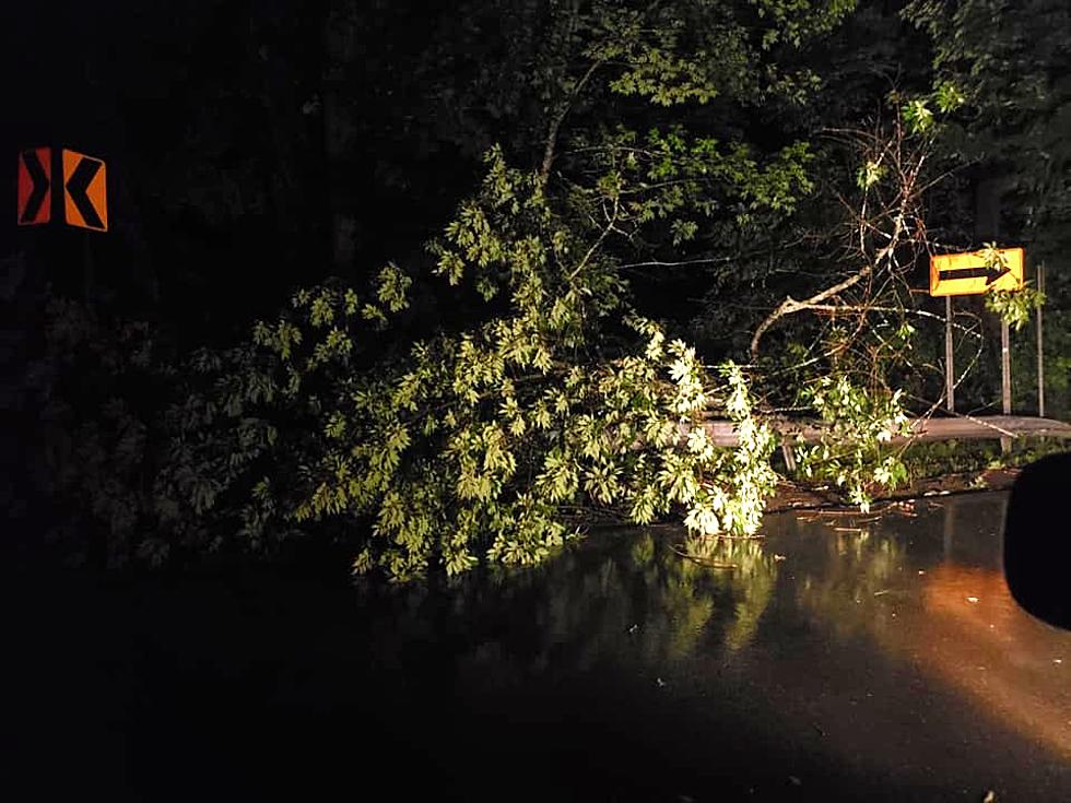 Fred Leaves Some Flooding, Trees Down & Power Out in Twin Tiers