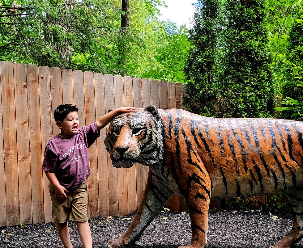 Discover Fascinating Animals at the Zoo in Syracuse [PHOTOS]