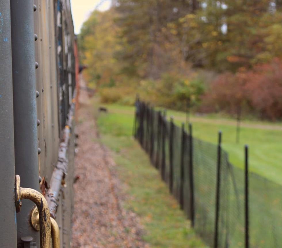 Celebrate Fall With This Sweet Pumpkin Patch Train Ride in Cooperstown