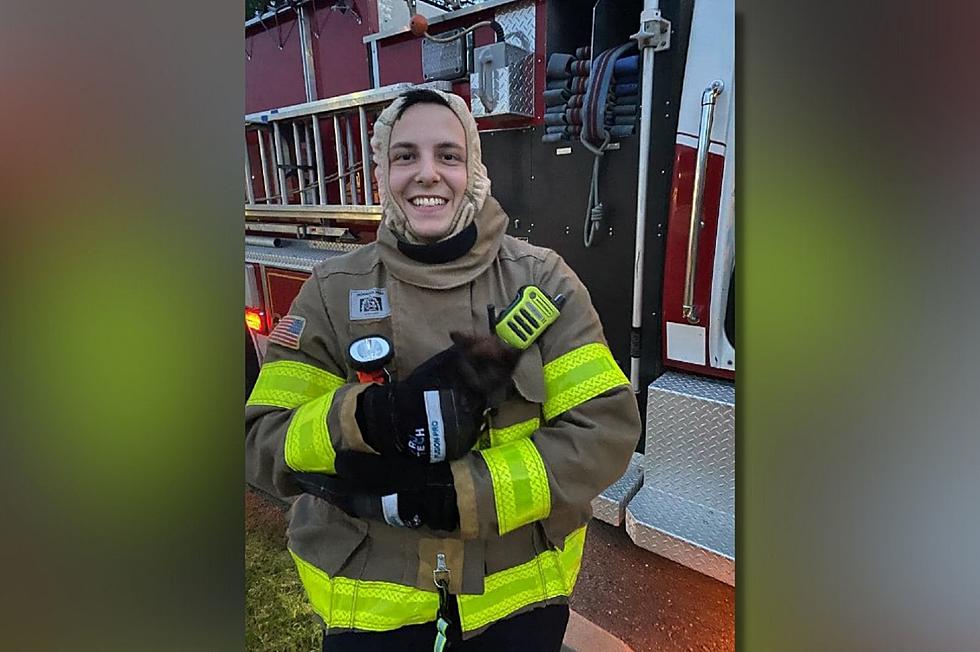 Binghamton, New York Fire Department Rescues Curious Cat Stuck In Storm Drain