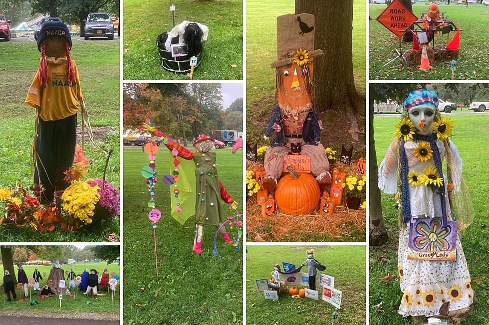 Take A Peek At All The Broome County Parks Scarecrow Contest Entries [GALLERY]