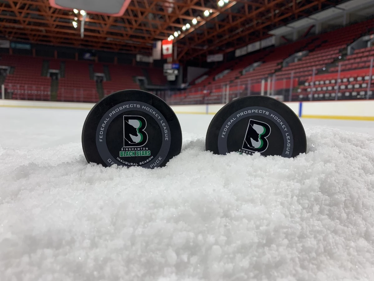 Binghamton Black Bears named as next hockey team to move to local area -  Pipe Dream