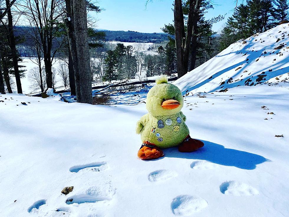 This Plush Duck Is Visiting All 50 States To Raise Money for St. Jude and He’s Coming to Vestal