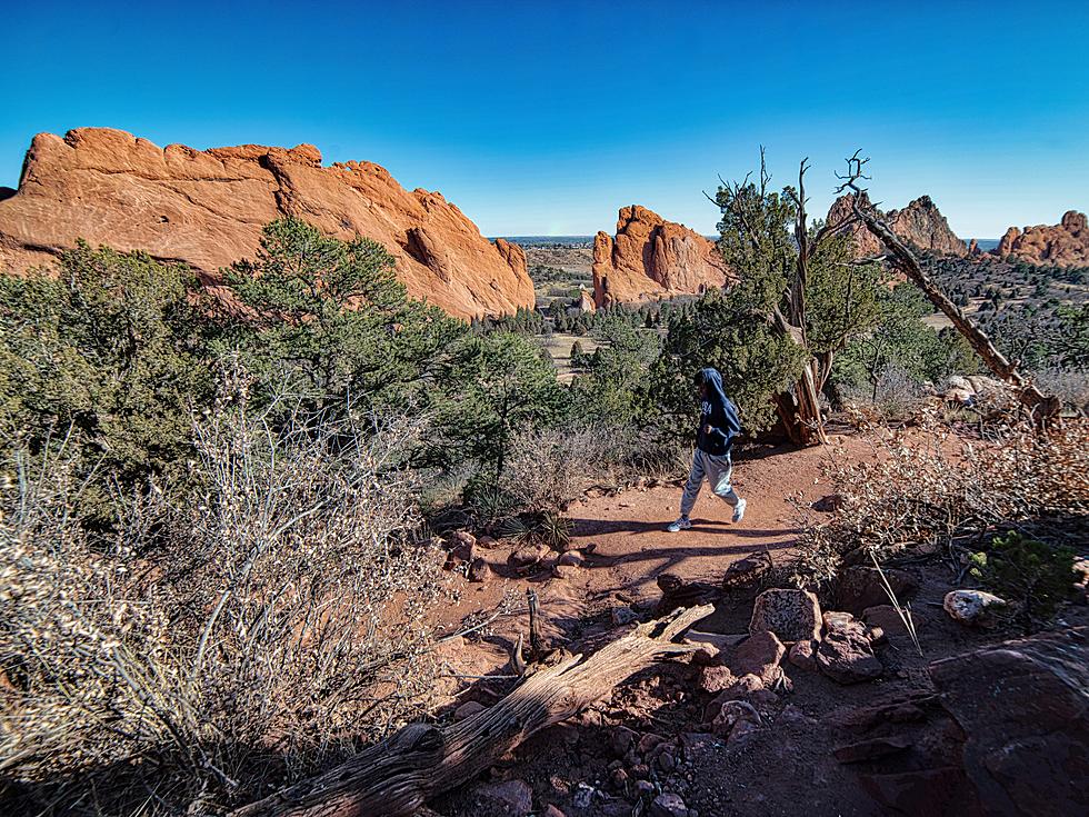 Vestal Native's Stunning Photography on Display at Olympic Agora 