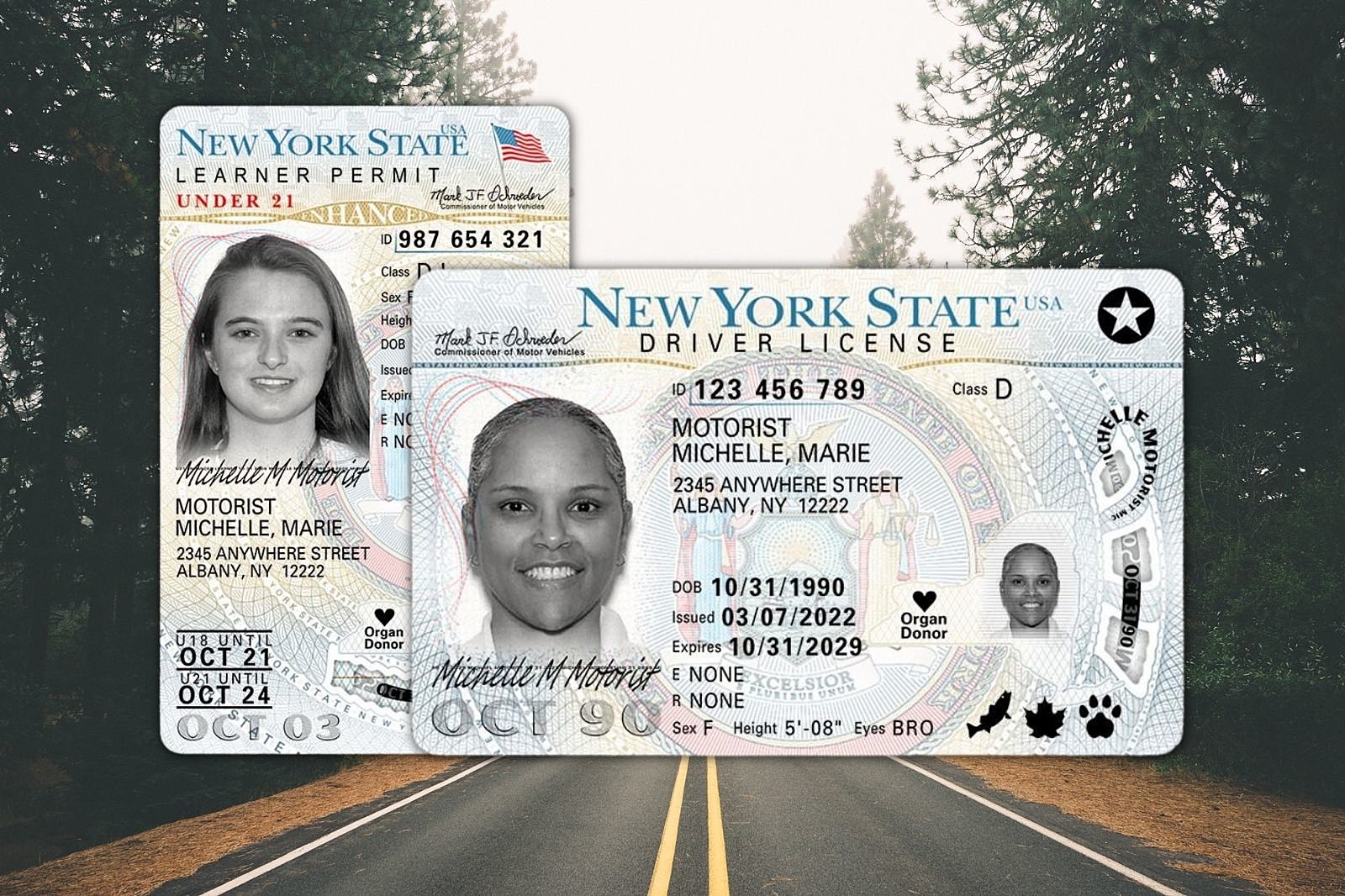 Whats New About The New York State Driver Licenses