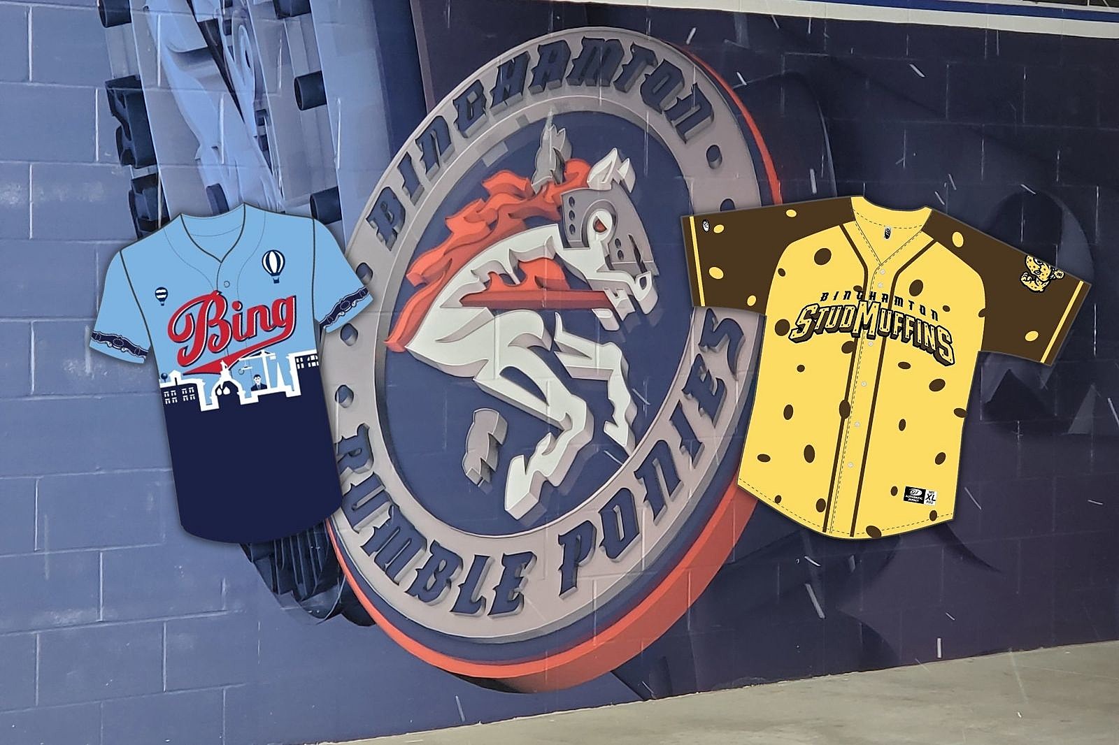 RumblePonies Announce 2022 Coaching Staff, by New York Mets