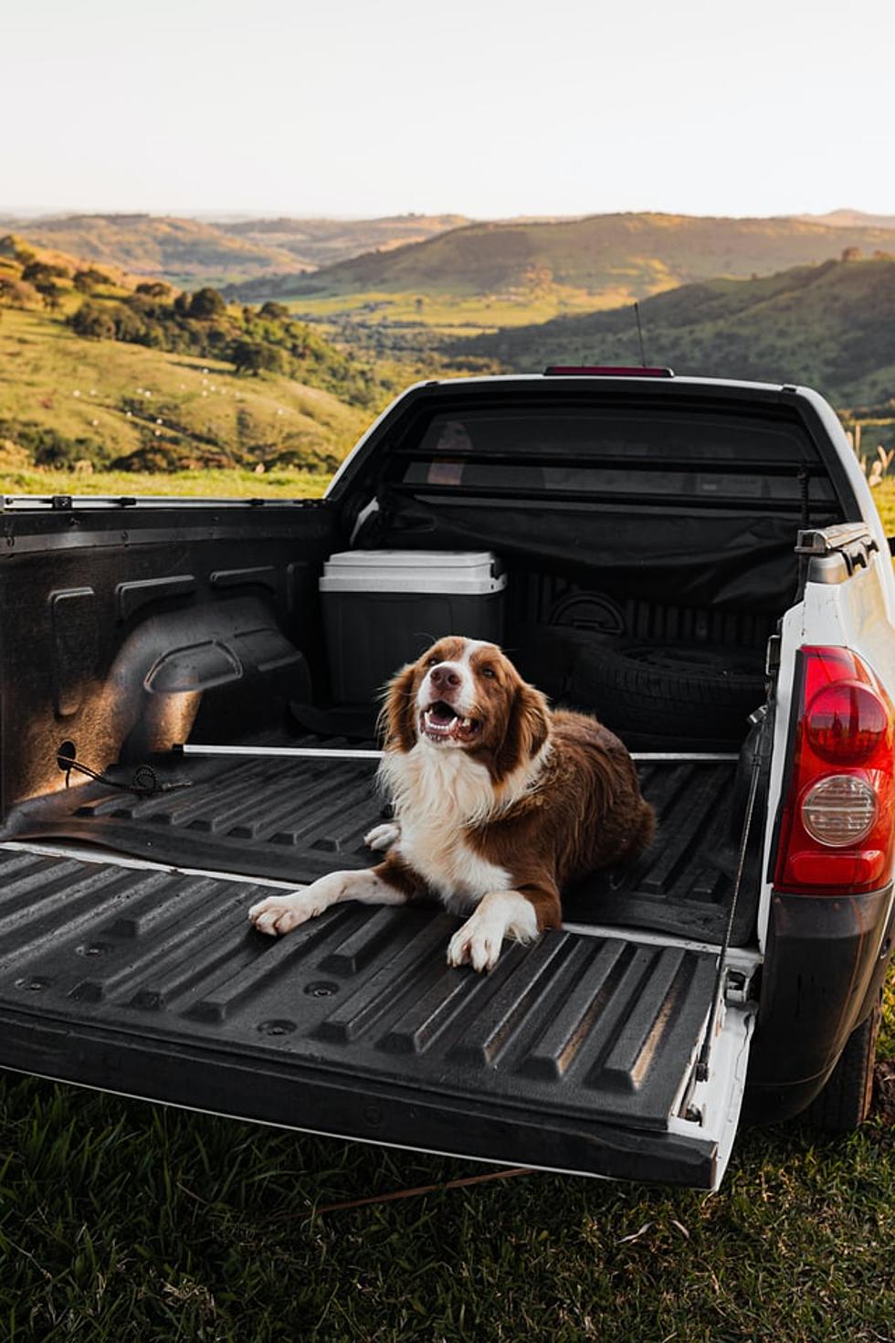 What Are The NY and PA Restrictions On Riding In The Back of Pickup Trucks