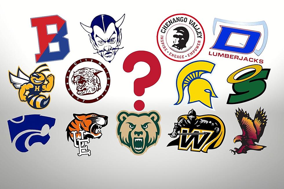 Show Your School Spirit And Vote For Your Favorite Broome County Mascot