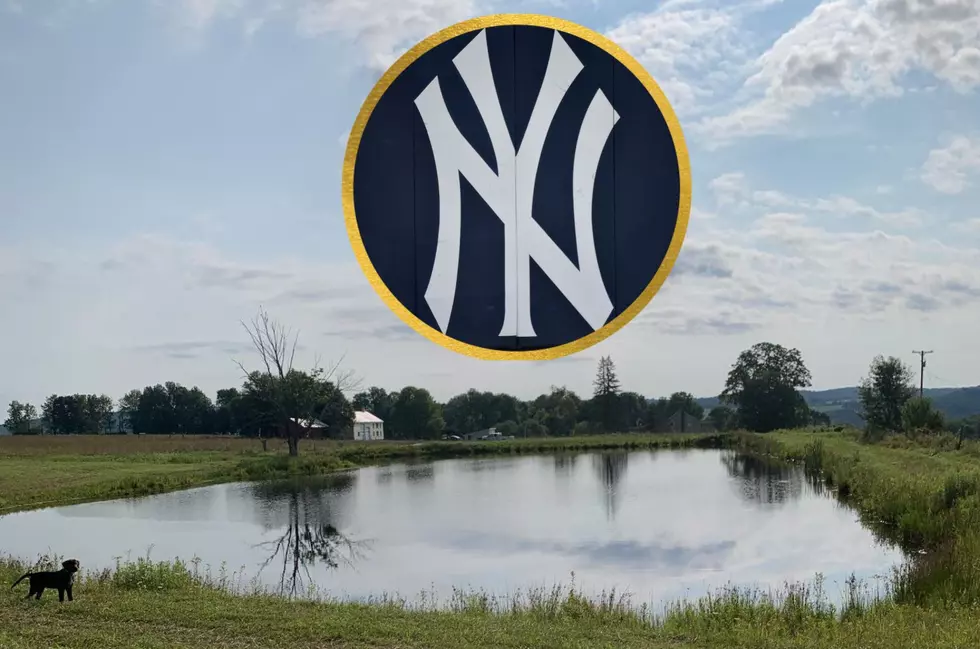 Meet the Former New York Yankees Coach Who Now Calls Greene Home