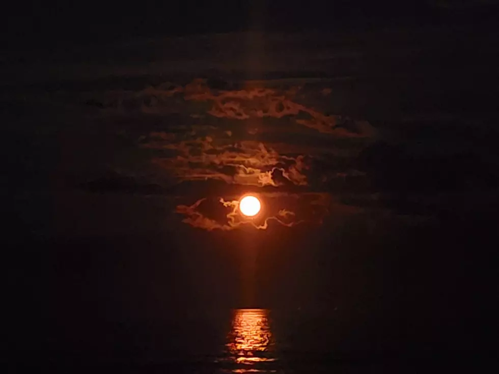 WOW! Stunning Buck Moon Lights Up Southern Tier