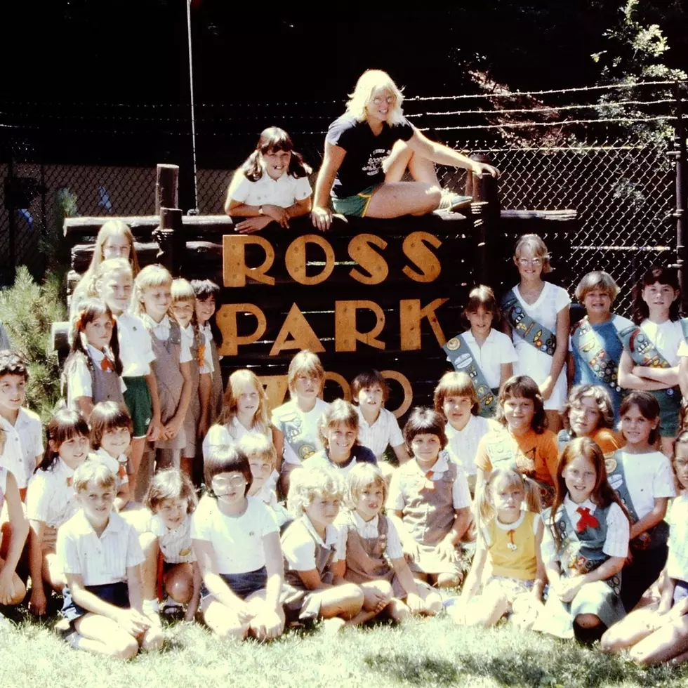 How Binghamton's Ross Park Zoo Became America's 5th Oldest Zoo