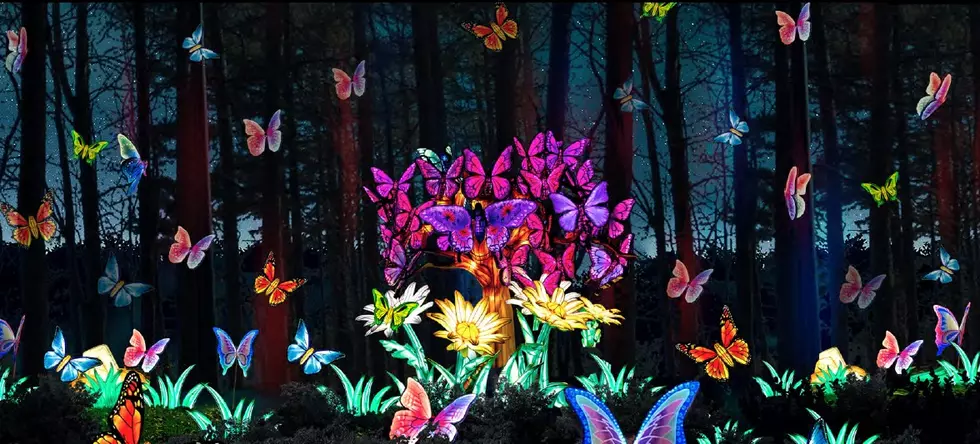 Breathtaking: Ross Park Zoo Aglow with Amazing Sculptures