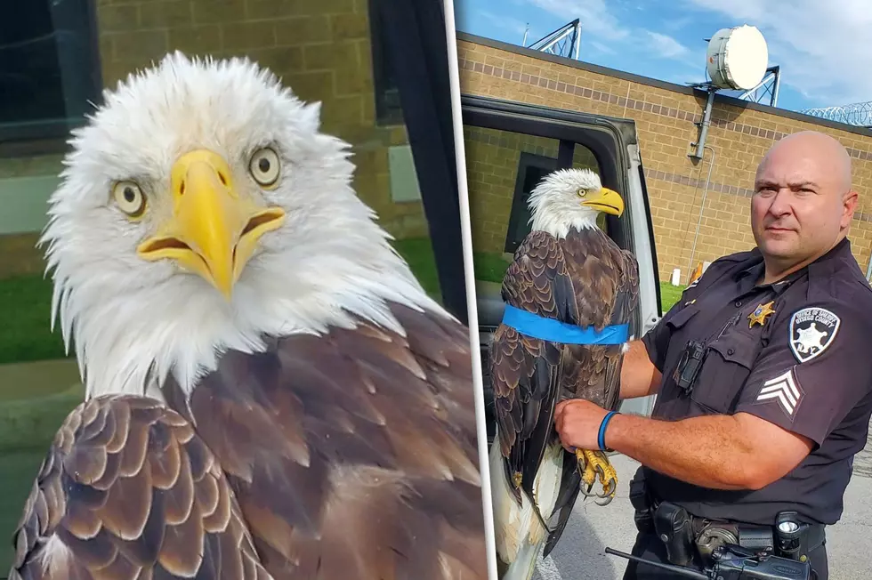 Symbol Of America&#8217;s Freedom Rescued From Cooperstown