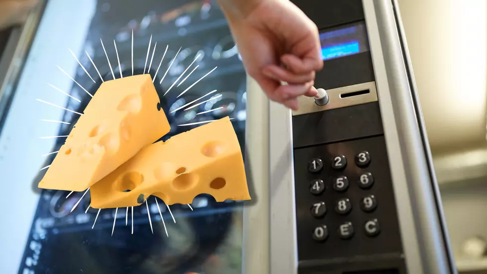 OPINION: Binghamton Definitely Needs Its Own Cheese Vending Machine