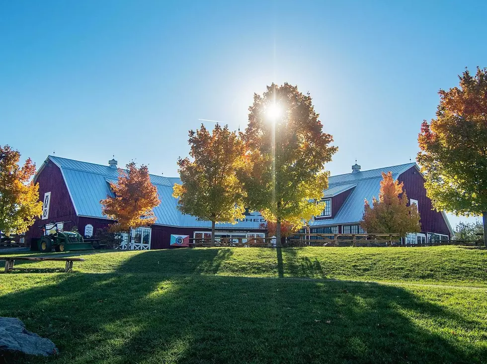 This Upstate NY Apple Orchard Was Named Third Best in the USA