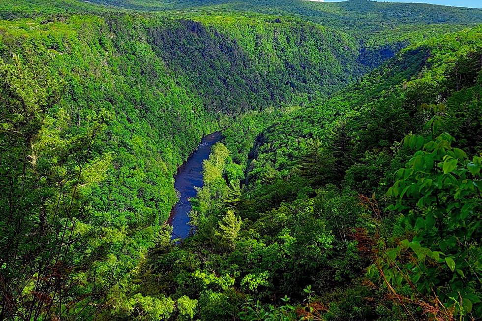 Only Two Hours From CNY, the PA Grand Canyon Is a Must See Wonder