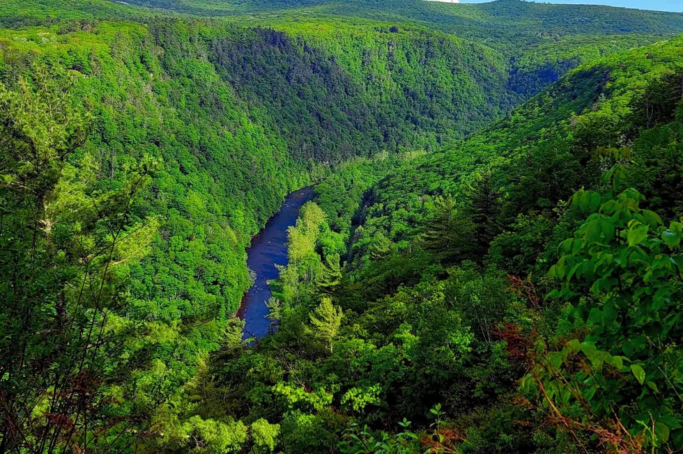 Only Two Hours From Central New York, the PA Grand Canyon Is a Wonder That Must Be Seen