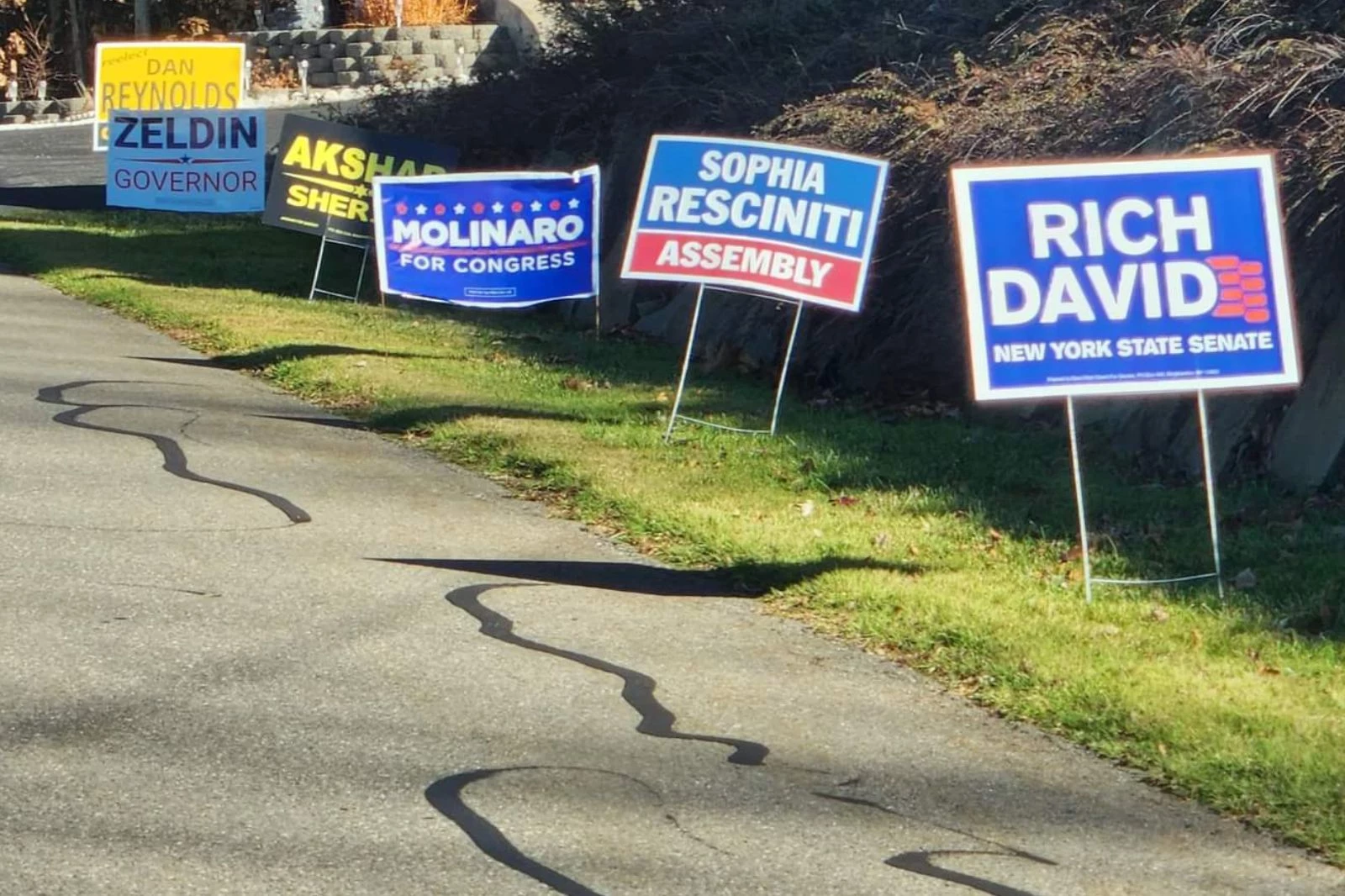 Boom in non-political law signs throughout WNY