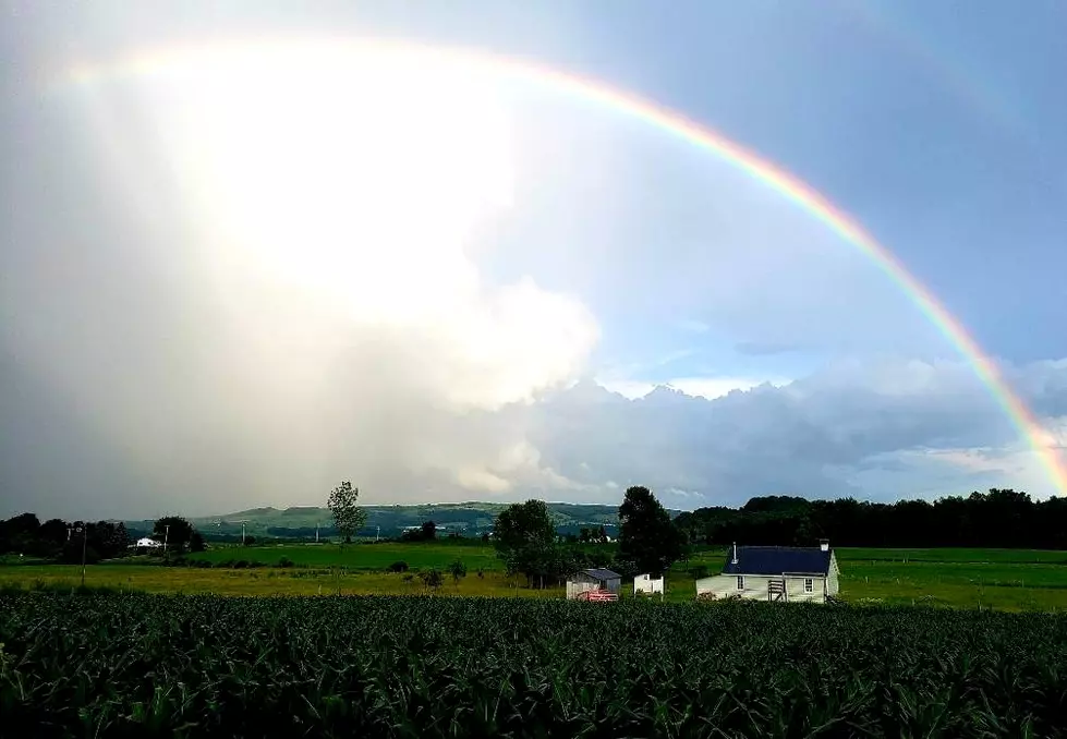 Are the Amish Planning a Mass Exodus From New York?