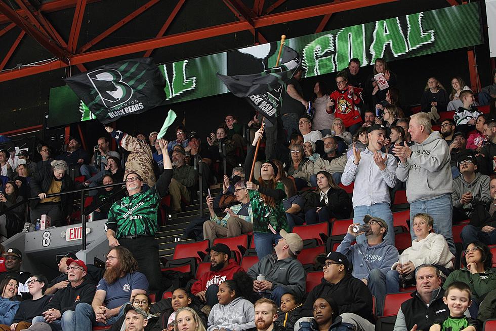 Our Binghamton Black Bears Fans Are Loud And Proud! Not So For Danbury