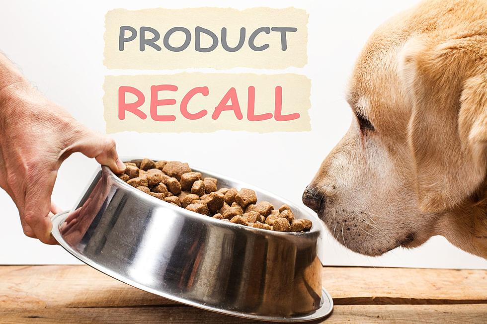 New York Pet Owners Warned of Dog Food Recall That May Cause Kidney Illness