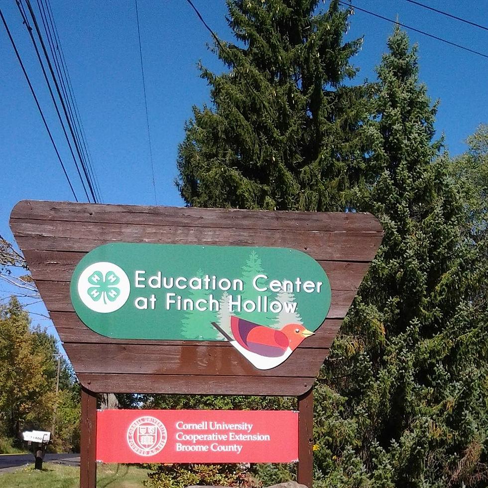 Didn&#8217;t See This Coming! Finch Hollow Nature Center Closes Suddenly