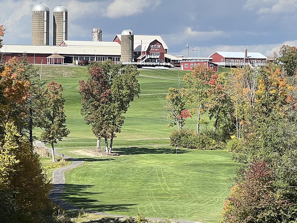 FORE! Golf Is Back In Owego Under New Ownership And New Name