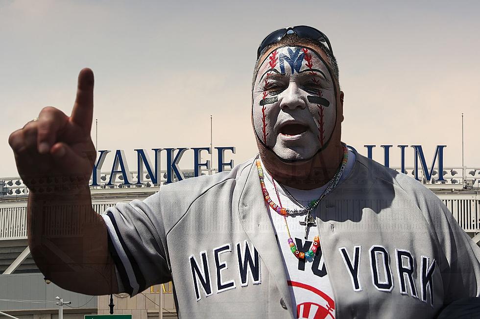 new york yankees fan