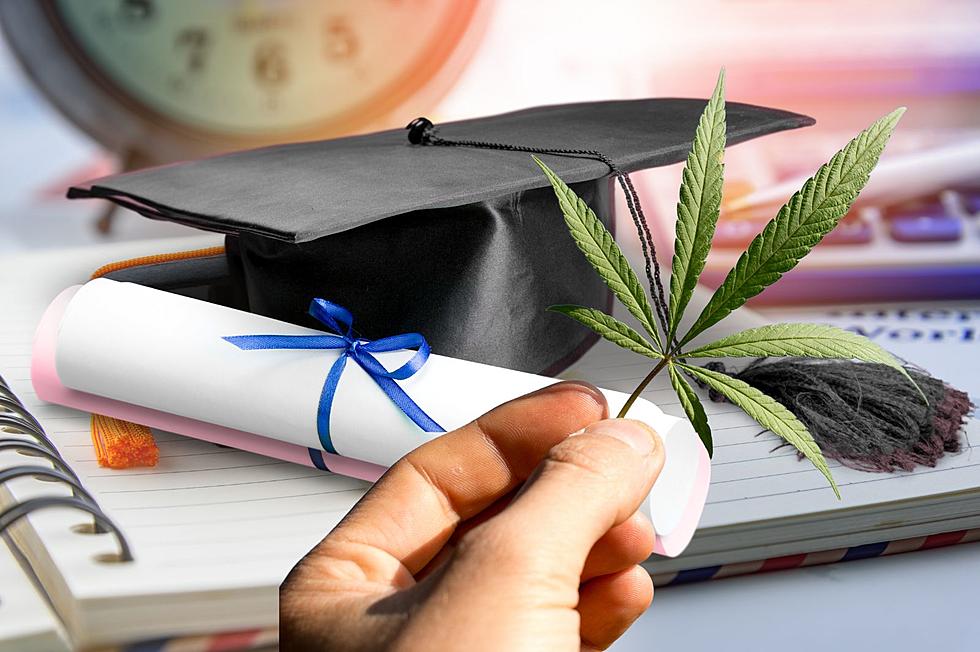 Upstate New York College Launches Cannabis Certificate Program