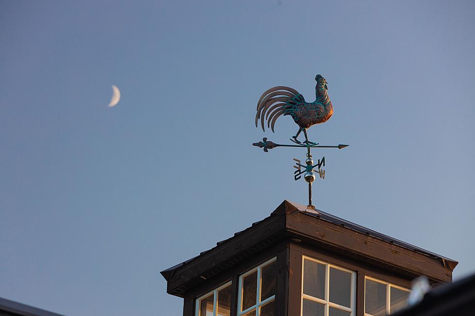 Why Are There Roosters On The Weathervanes?