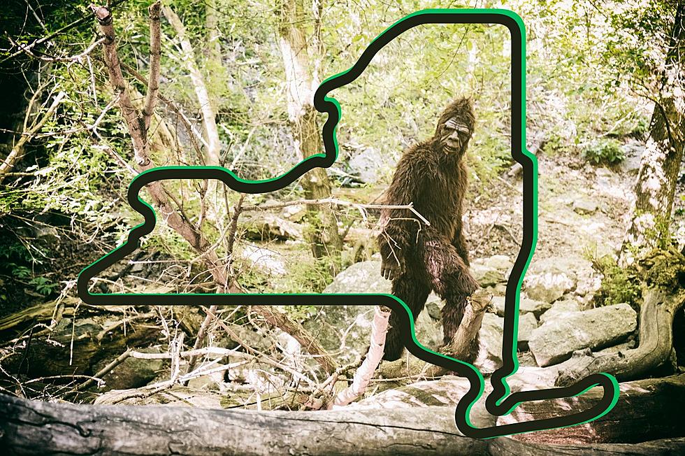 Bigfoot Fans Unite at Upstate New York’s Sasquatch Festival