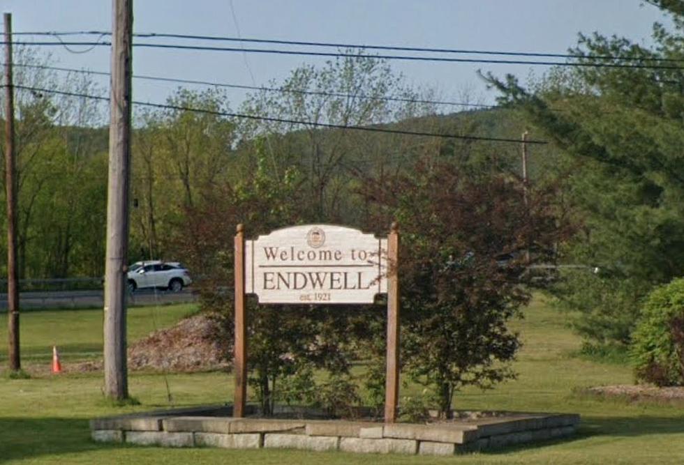 From Forests to Suburbs: The Story of Endwell, New York