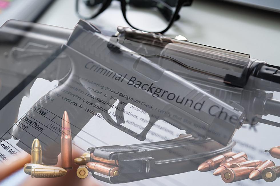 New York To Launch Enhanced Gun and Ammo Background Checks