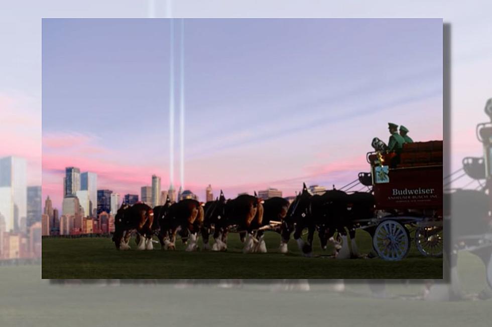 WATCH: New Yorkers Remember Budweiser’s Iconic 9/11 Clydesdales Ad