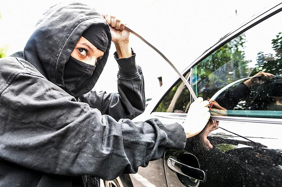 New York State Invests $55 Million To Take Down Car Thieves