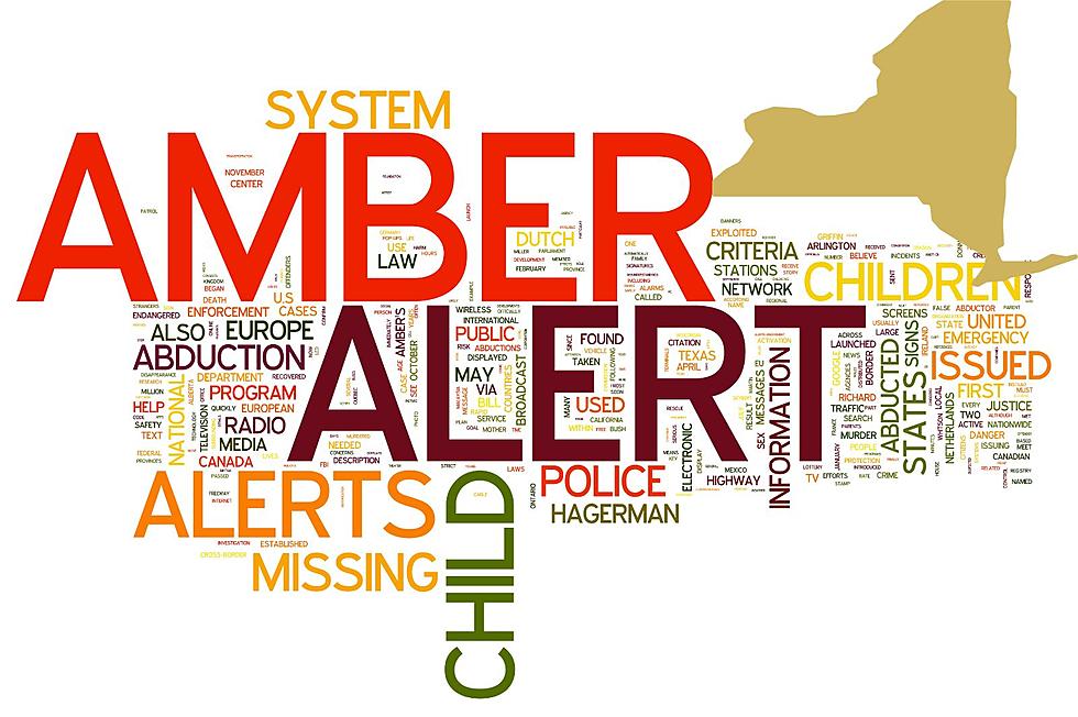 What Are the Requirements for Amber Alert in New York?