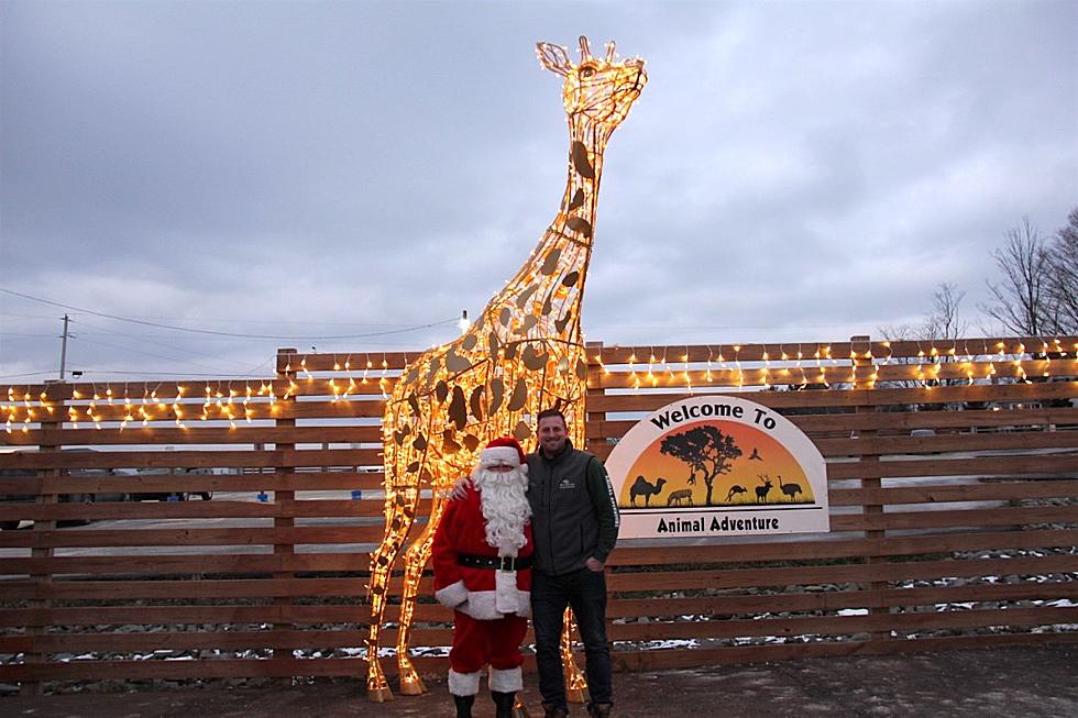 NY’s Animal Adventure Park Shines With Over One Million Lights