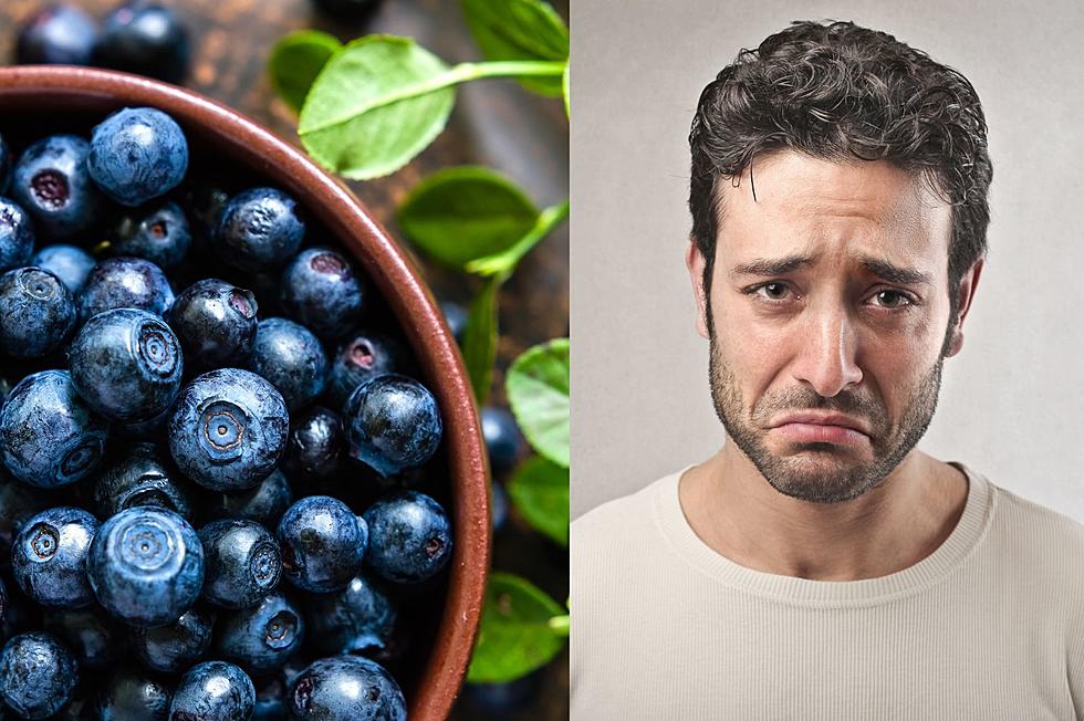 New Yorkers Feel the Impact of Nationwide Blueberry Shortage