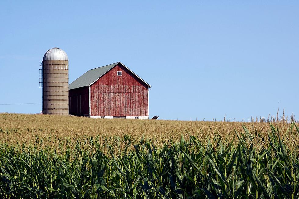 Governor Hochul Helps New York Farms With $16 Million Grant