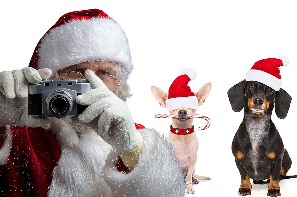 Capture Memories of Your Pet at ‘Pet Photos With Santa’ in Owego, New York