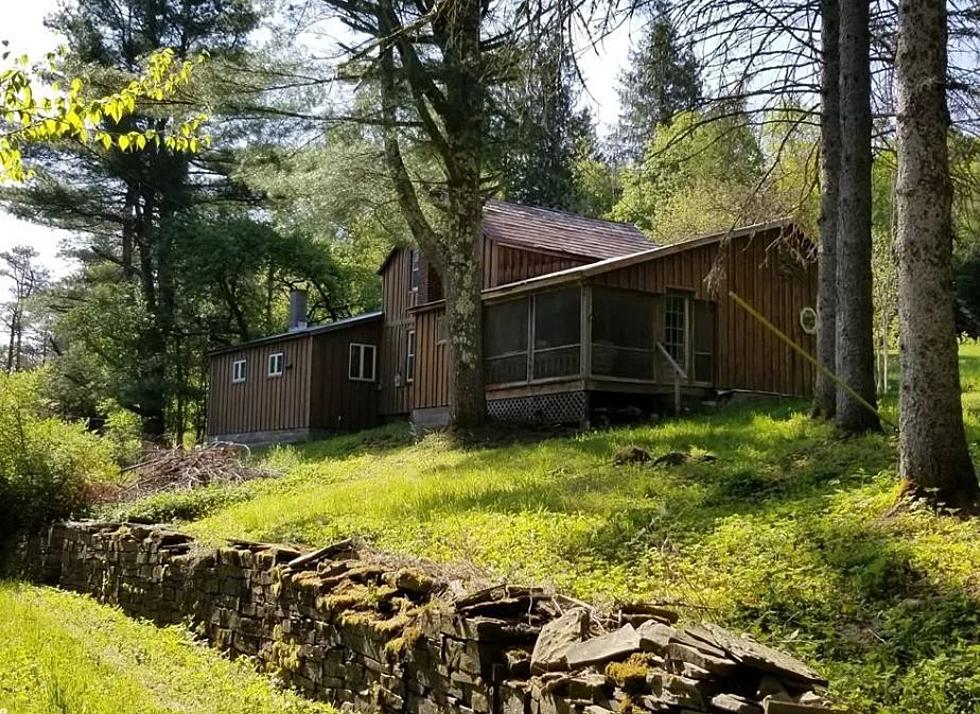 Nature Lover's Paradise: Farmhouse Retreat On 52 Acres In NYS