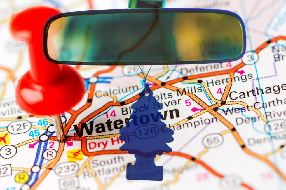 How Upstate New York’s Little Trees Revolutionized the Air Freshener Industry