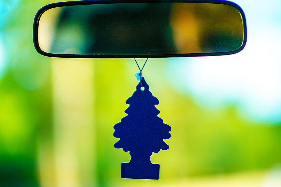 The Upstate New York History Behind Tree Shaped Air Fresheners