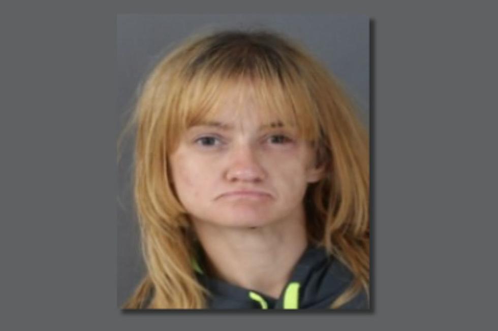 Sidney, New York Woman Pleads Guilty to Criminal Trespass