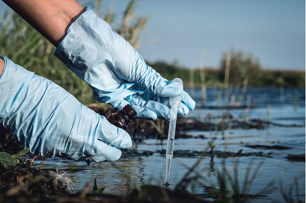 Upstate New York River Ranks Among Most Polluted in USA